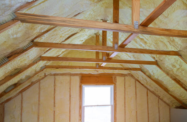 Best Eco-Friendly Insulation in Dupo, IL