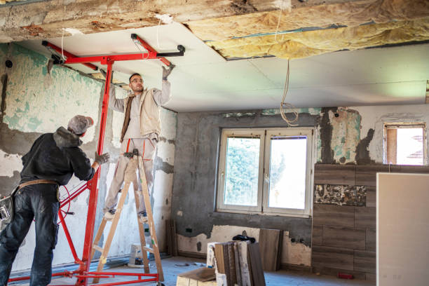 Best Geographic-Specific Insulation Services in Dupo, IL