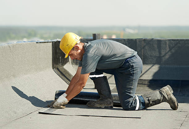 Best Spray Foam Insulation in Dupo, IL